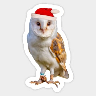 Christmas Barn Owl Sticker